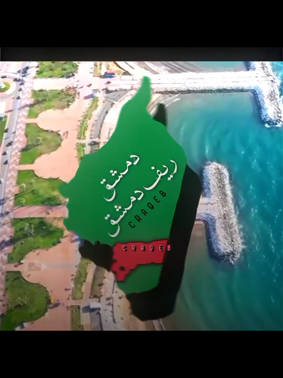 محدا يصمم لسوريا من بعدي😩💚#سوريا#ادت_سوريا#syria #اغاني_سورية 