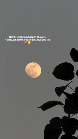 ❤️‍🩹🙌#onthisday #repost #moon #soloking 