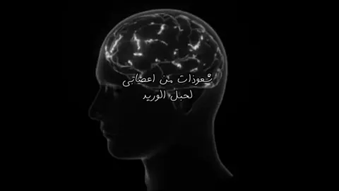 مايعالجهن الجراح والصيدلي 😢. #سفر_الدغيلبي 