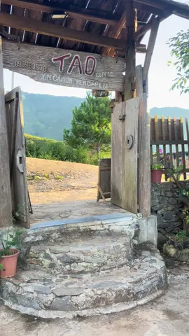 Bình minh ơi dậy chưa ? Cà fe sáng với tôi được không#Tà_Xùa_Tao_Homestay_Mỏm_Cá_Heo #tà_xùa_tao_homestay_mỏm_cá_heo #tàxùabắcyênsơnla #tà_xùa_thiênđườngmây #xuhuong 