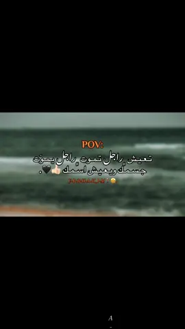 #اقتاباسات #عباراتكم_الفخمه📿📌 #عبارتكم_فخمة🖤💉🥀 #اقتباسات_عبارات_خواطر #عباراتكم💔💔؟ #عبارات_جميلة🦋💙 #عبارات_جميلة_وقويه😉🖤 #عبارات_حزينه💔 #تصميم_فيديوهات🎶🎤🎬 #شط_العرب #ليبيا🇱🇾 #سوريا_تركيا_العراق_السعودية_الكويت #مراد_علمدار #بوعباب #مرسكاوي #محتوي #تصميمي 
