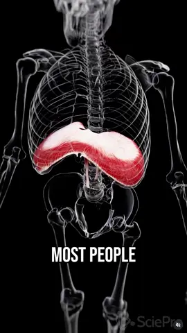 Want an easy program that fixes mobility and pain (like this) from head to toe + can be individualized to your body? Check out my Beginner Body Restoration program. Link in bio!