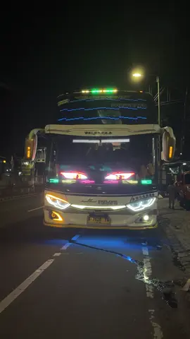 DJ Lulo by alexa reborn @OFFICIAL.ALEXA.979  #fyppppppppppppppppppppppp #adiputro #jetbus #basuri #basurihorn #basuriv3 #basurimusicalhorn 