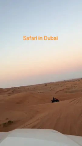 Safari in Dubai  #safari #desert #travel #destination #Summer 