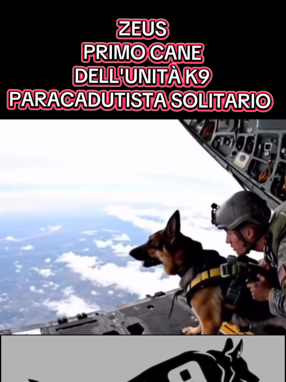 #curiosità #animali #animale #cane #cani #unità #k9 #esercito #para #paracadutismo #wow #lancio #solitario #video #wow #addestramento #virale 