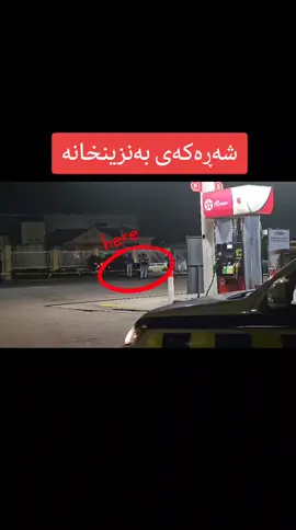 #creatorsearchinsights #onthisday #like #fyp #foryou #cratorsearchinsights 