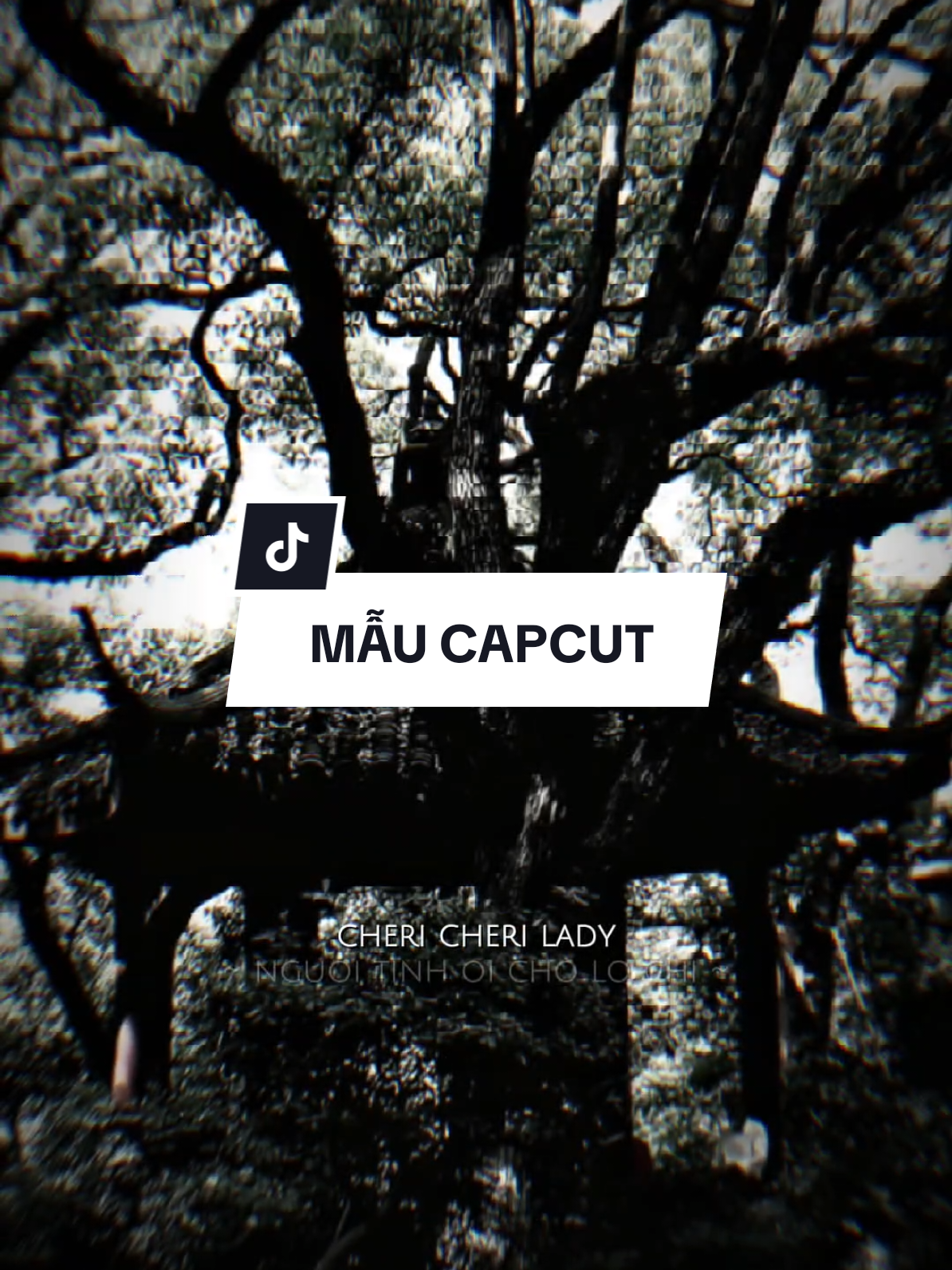 Cheri cheri lady người tình ơi chớ lo chi dù thời gian có qua đi.. #CapCut #edit #mẫucapcut #xh #nhachaymoingay #lyrics #capcutmaster 