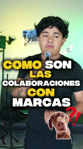 Cómo colaborar con marcas utilizando tiktok de la mejor manera #CapCut #creatorsearchinsights #eduardoD #tiktoktips #colaboraciones #colaborarconmarcas 