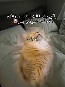 #متتتتتتتتتتتتتتتتتت😂😂💔 #حصل #fouryou #😂😂😂😂😂😂😂😂😂😂😂😂😂 #😂😂😂😂😂😂😂😂😂😂😂😂 #ضحك😂 #الصنين_مالهم_حل😂😂 #fypp #😂😂😂😂😂😂😂😂😂😂😂😂😂😂 #الشعب_الصيني_ماله_حل😂😂 #dencewithpubgmi #ليبيا_طرابلس🇱🇾🇱🇾🇱🇾 