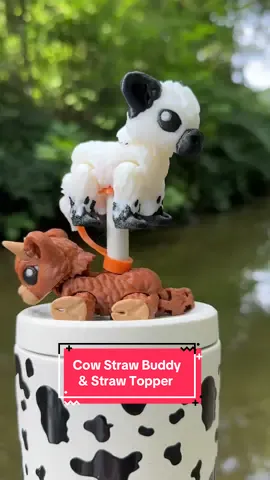 I think they’re the cutest little moooooo-d busters 🐮🐄🐮🐄 #cow #highlandcow #cattle #strawtopper #strawbuddy 