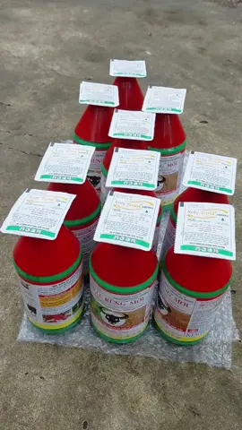 Sản phẩm TRÂU RỪNG MỚI CHAI 900ML COMBO 10 CHAI TẶNG 10 GÓI ANLYGOLD #xuhuongtiktok #qatar2022 #biosieuruocdong #ri6miềntây #camping #burhan_tv #r6 #sauriengchincay #ri6_cơm_vàng #cam #q #viraltiktok #biosieudenhanh #sauriengmientay #saurieng #qatar #biovietnam #ri6 #bio #mit 