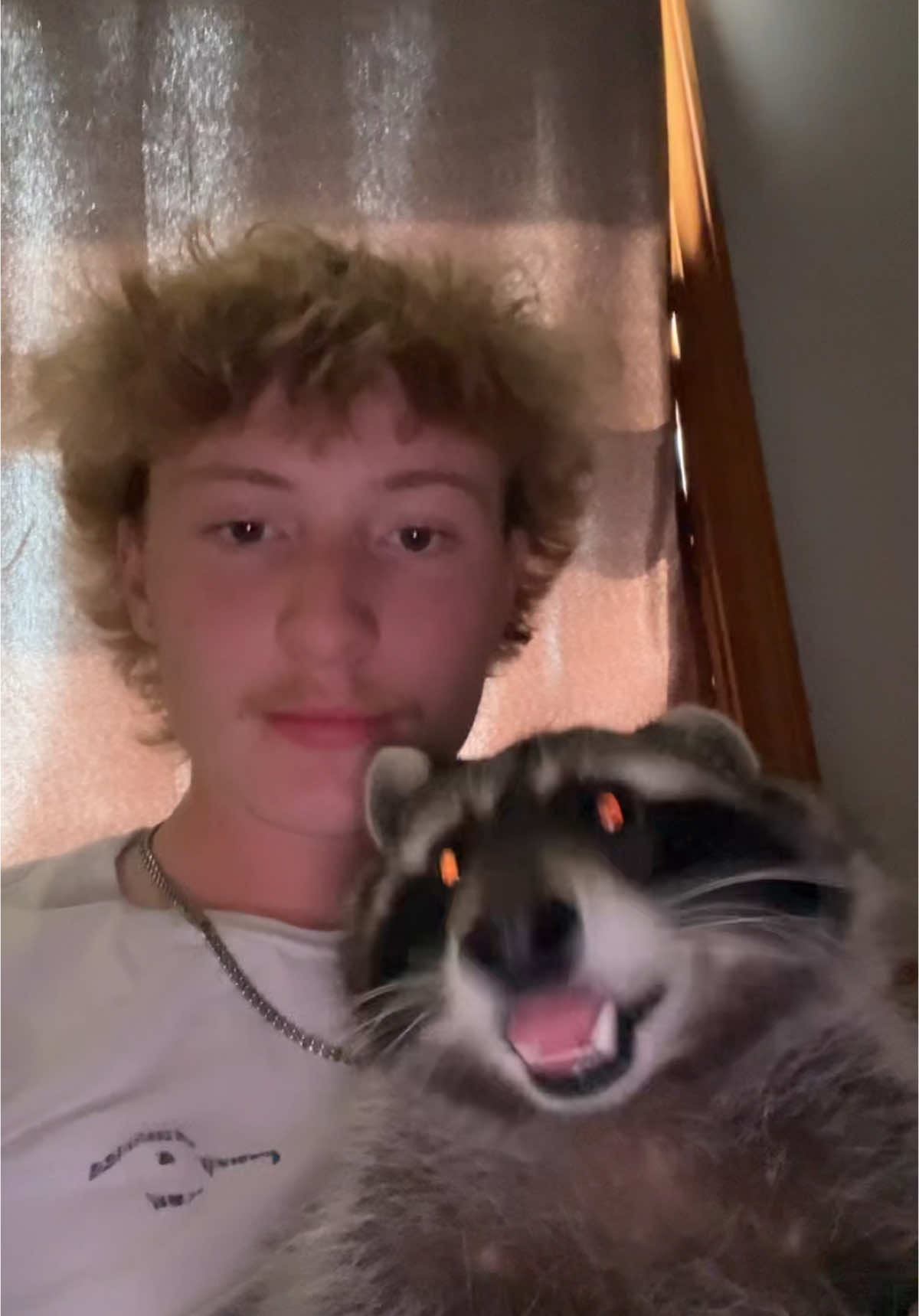 Labubu Tito #labubu #tito #raccoonsoftiktok #labubuthemonsters 