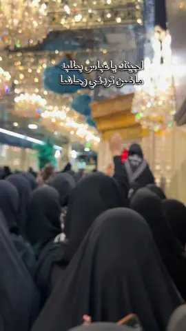 اطلبو حوائجكم من العباس ع
