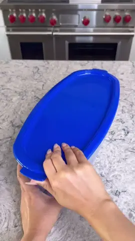 Tupperware Super Caixa c/ Grade Protetora 4,3 Litros Sereia. . . . #empanador #ofertas #tiktokshop #shopee #achadinhos #promoção 