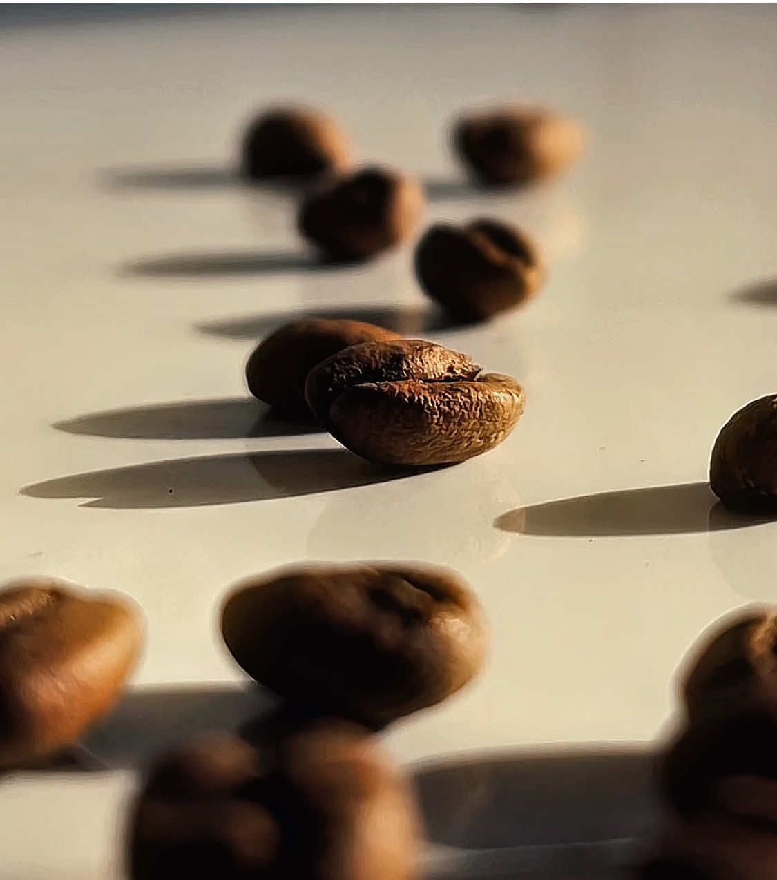 لقطات من تصوير ايفون 12 ✨. #بدون_موسيقى #بدون_موسيقى_لحياه_افضل🔇 #قهوه #تصوير #v60 #iphone 