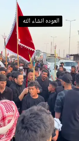 #كربلاء_مدينة_العشق_والعاشقين #موكب_اهالي_السماوه #صيطرت،الجروخي #السماوه_مدينتي🇮🇶❤️ 