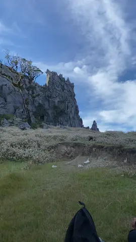 #foryoupage #timorleste🇹🇱#montaimatebian🍃⛰️
