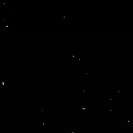 يبختك يا رجب👽 #رجب #هيفاء_وهبي 