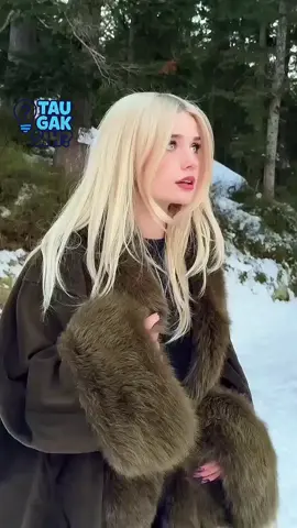 Tahu Gak Sih? 🤔 Negara Ini mirip negeri dongeng #kamuharustau #taugasih #faktaunik #faktamenarik #fakta #islandia #islandia🇮🇸 #aurora 