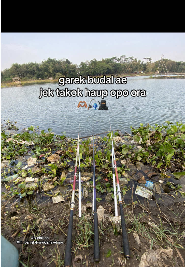 Ndang Budalo ojok kakean Ita itu 🤭😆😅 #bonwatu #mancingliaran #mancingmalangselatan #storymancing #fypmancing 