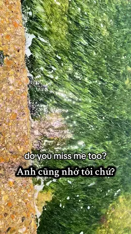 Sáng giờ mình bị lạc trong bài này chưa thoát ra được. Lyn edit và vietsub lại. Mong các tình yêu thả ❤️ iu nhiều nhiều cho Lyn nhé. Nghe tai phone đã hơn ngheng cả nhà. Thank you ❤️❤️❤️🥰🥰🥰 #tiktok #CapCut #viral #music #musicAI #lovesong #england 