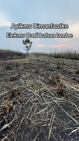 🫩#4upage #fyp #jowopride #berandamu 