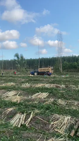 Đường đời gian khó#xuhuongtiktok #iIseki 🚜86binhthuan 🌴🌴🌴