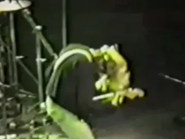 #kURTCOBAIN || wobbly wiggly. #kurtcobain #kurtcobainfans #kurtcobainedit #kurtcobainfanpage #nevermind #nirvana #guitar #90s #viral #explore #meme #wobblywigglywobblywigglyuuoooooo #nirvanafans #nirvanaedit #nirvanafan #kurt #kurtcobainnirvana 