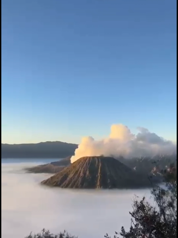 Bromo memang seindah itu✨ #fyp #bromomountain #bromotrip #yxzcba #bromotenggersemeru 