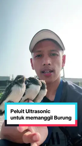 Peluit Ultrasonic untuk Melatih dan Memanggil Burung #peluit #peluitmenanggilburung #ultrasonic 