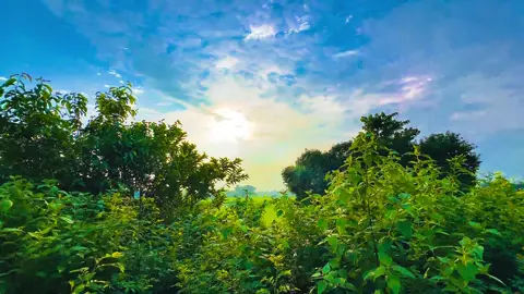 ইন-শা-আল্লাহ…☺️❤️‍🩹 #foryou 