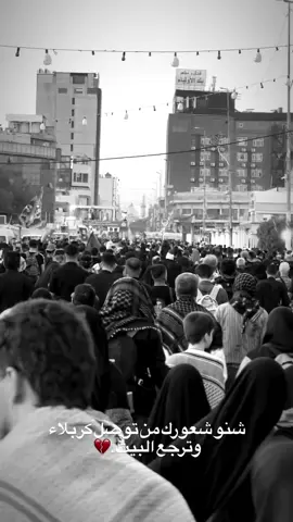 شنو شعورك .💔😔                        .                              '                         .    #مشايه_الأربعين #مشايه_للحسين_نتعنه🥺💔🥀 #عليه_افضل_الصلاه_والسلام #شيعيه_وافتخر #الحمدلله❤️🙏 #البصرة #زيارة_عاشوراء #ياحسين❤️😭 