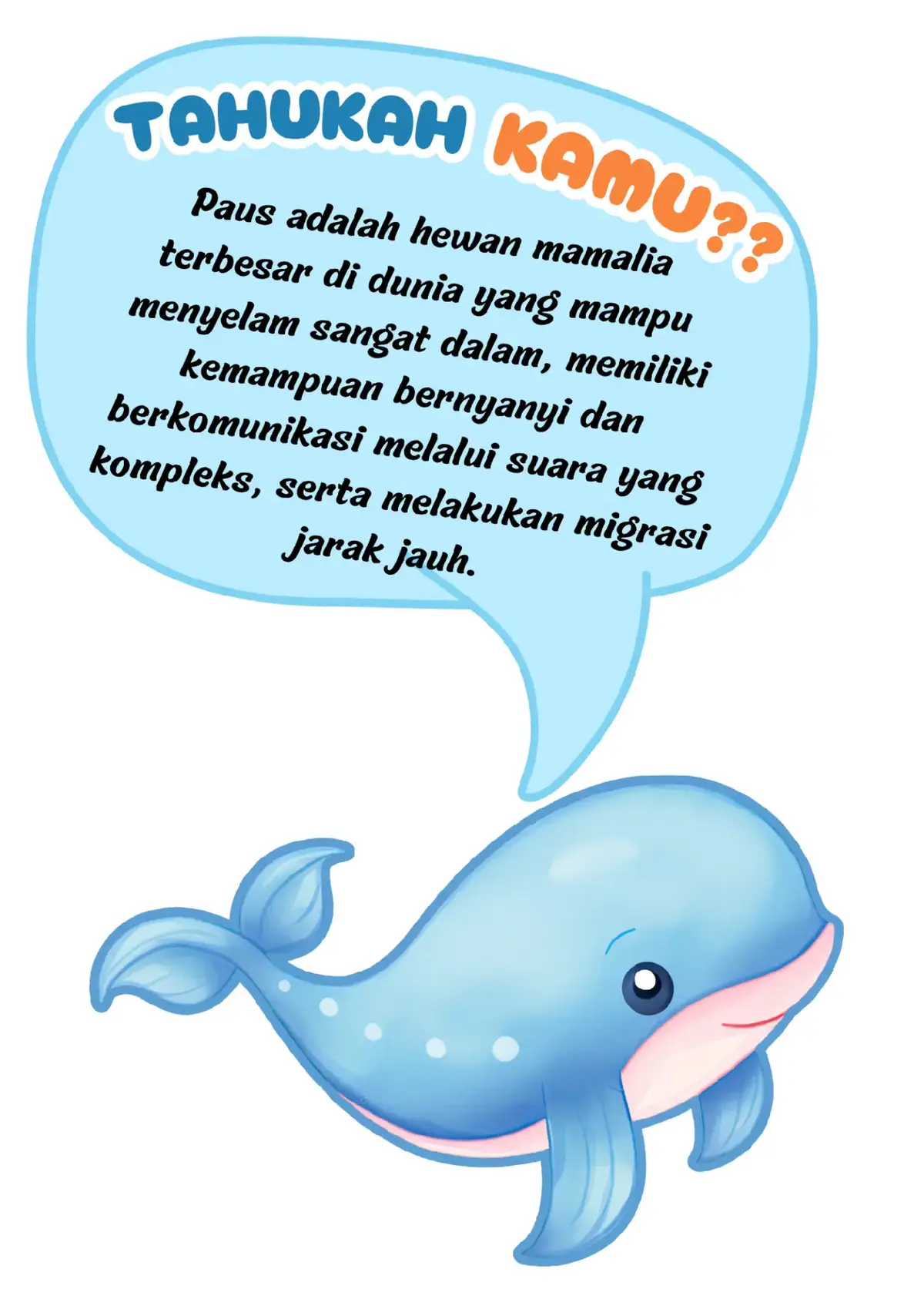 Jendela kelas dapat dimanfaatkan untuk menambah literasi murid salah satunya dengan menempelkan fakta unik hewan hewan laut berikut. #hiasankelas #undersea #gurumuda #gurukreatif #dekorasi #anakhebat 