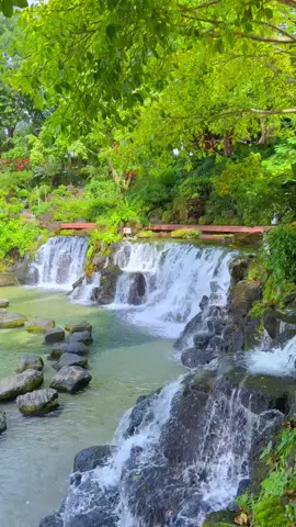🌊 suối Mơ Đồng Nai #suoimo #tanphu #dongnai #vietnam #fyp 
