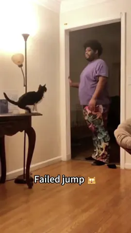 Failed jump 🐱 #Cat #fyp #catlover #catsoftiktok 