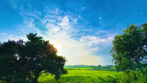 আল্লাহ আমাদের সবাইকে বোঝার তৌফিক দান করুন…❤️‍🩹 #foryou 