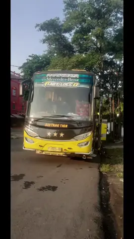 hunting bintang tiga 'baby locco,captain blue,kilua,melodi cinta' @balad.babbylocco_ @sahabat.captainblue003 @willymarsal @kawan_killua.011  #bintangtigabus  #busmania #huntingbus📸 #masukberandafyp 