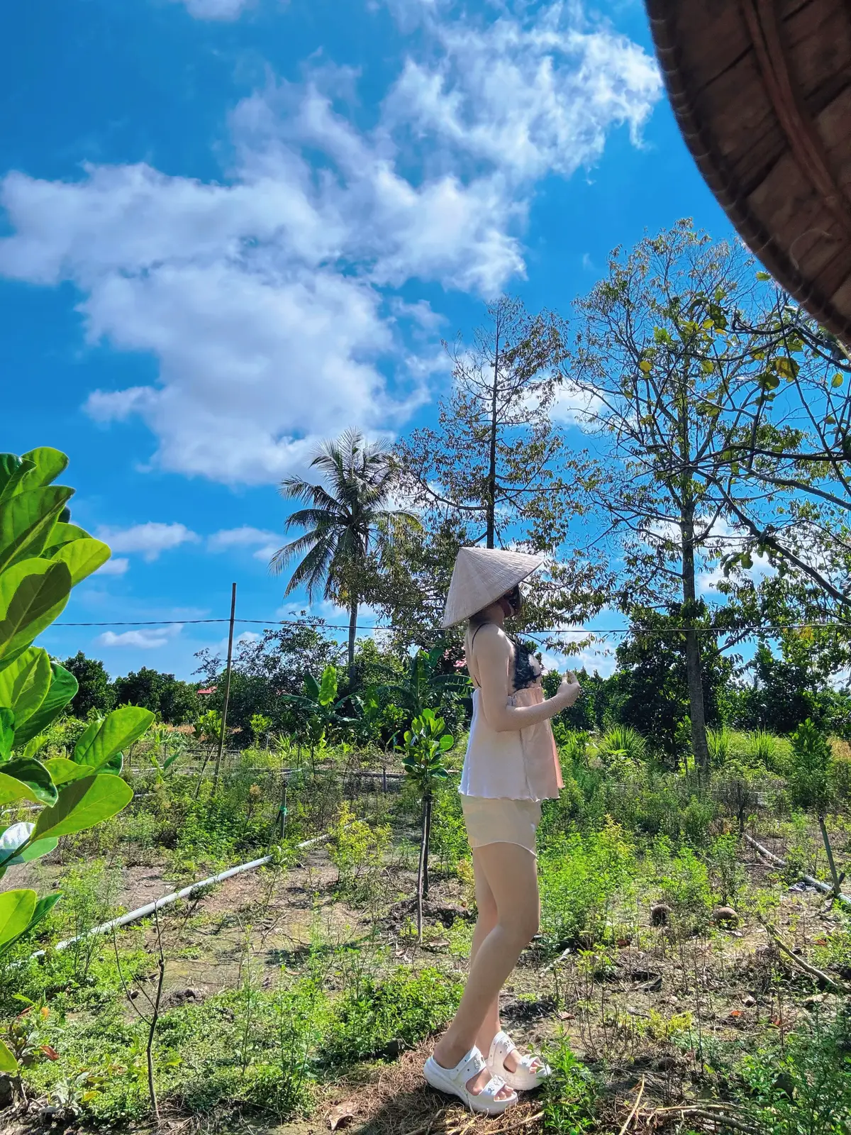 Chốn phố vìa quê làm cô 2 vài hôm ạ😂😂#xhtiktok #66đồngtháp #66đồngtháp🌾 #fyp #trending #nhachaymoingay #chill #quêhươngtôi #mientay #mientayquetoi #canhqueyenbinh #xh #gaimientay #gáimiềntây 