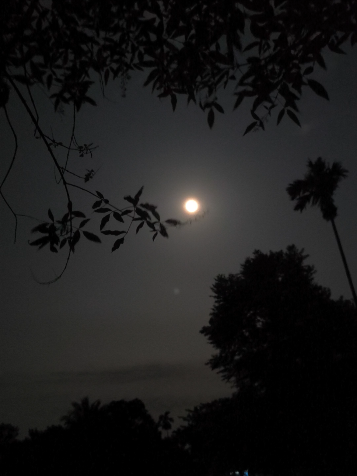 থেমে তো কিছুই থাকে না, শুধু থেকে যায় কিছু মানুষের সাথে কাটানো কিছু স্মৃতি 🙂❤️‍🩹 #foryou #fyp #foryoupage #viral #tiktokofficialbangladesh 