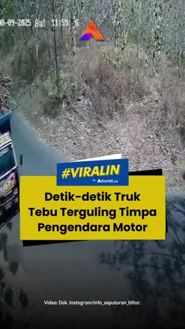 Sebuah kecelakaan tunggal yang melibatkan truk pengangkut tebu terjadi di turunan tajam Bukit Bonsai, Desa Sumberjati, Kecamatan Kademangan, Kabupaten Blitar, Sabtu (9/8/2025). Insiden ini membuat dua pengendara sepeda motor yang melintas dari arah berlawanan mengalami luka ringan setelah tertimpa muatan tebu yang tumpah. Beruntung, kedua korban berhasil lompat dari kendaraan mereka dan hanya mengalami luka ringan. Terkait penyelesaian kasus, Kanit Gakkum Satlantas Polres Blitar, Ipda Juli Hartanto, mengatakan, bahwa kecelakaan tersebut telah diselesaikan secara kekeluargaan antara pengemudi truk dan korban.  🎥: Dok. Instagram/info_seputaran_blitar. #viral #truk #truktebu #tebu #polisi #blitar #akuratco