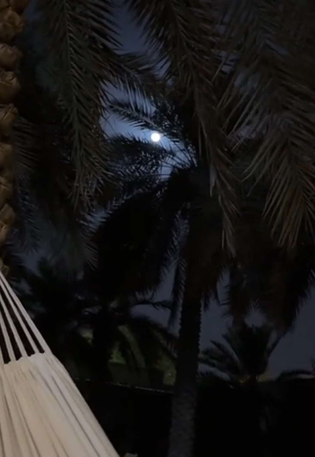🌌