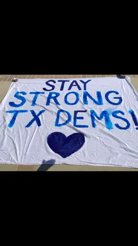 The dawgs are out and active even in this heat, so maybe you can join us on Monday?  #TogetherWeStand #texas #ComeAndTakeIt #austintx #dogsoftiktok #talarico #vote 
