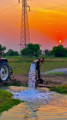 #pindawale #پنڈاں_والے #ساڈا_پنجاب #foryou #viral #1millionviews 