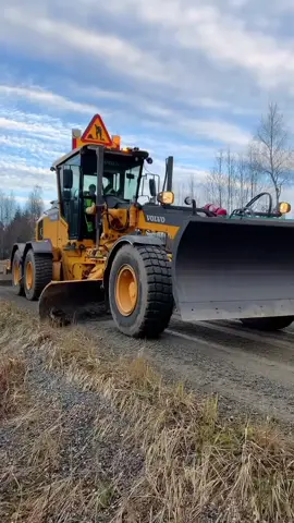 #Grader #cat #aly 