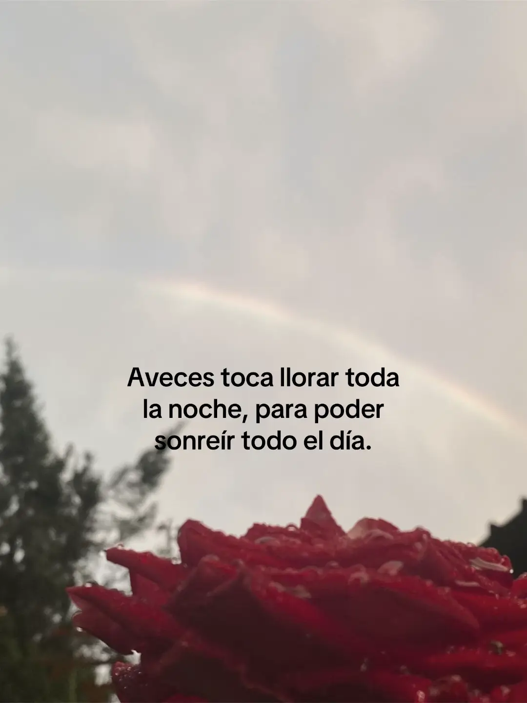 #triste #paratiiiiiiiiiiiiiiiiiiiiiiiiiiiiiii 