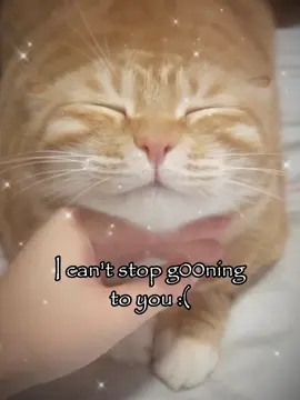 😙😙😙 #fyp #relatable #couple #Love #cattok #catmeme #joke 