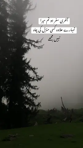 🍂🍷#fyp #viral #darwish #standwithkashmir #foryou #unfrezzmyaccount #foryou #viral #darwish 