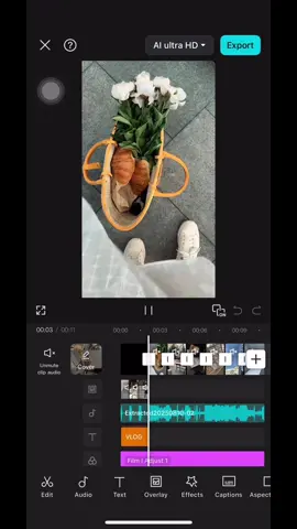 #CapCut || mini vlog #templatecapcut #minivlog #todaystory #r77templates 