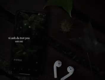 Chỉ muốn nói đôi lời từ trái tim này người ơi..#khoi_31_8 #lyrics #nhachaymoingay #xh #anhyeuemnhe 