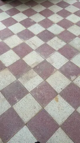 🥷🏻 #الشتاء #بريدة #الرياض #القصيم 